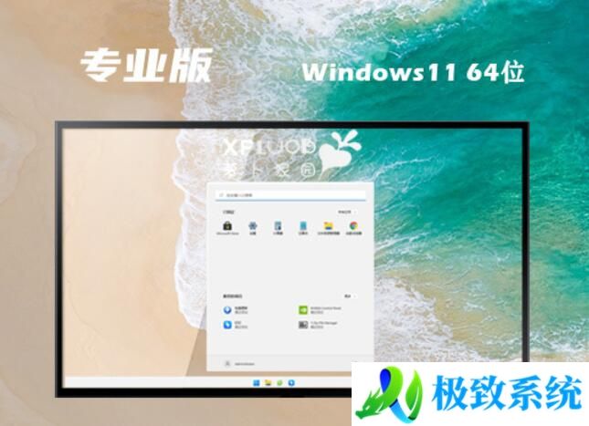 萝卜家园Ghost Win11 64位升级专业版v2024.03