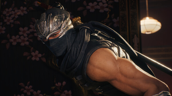 忍者龙剑传2 黑之章中文学习版 v1.08虚幻5复刻版 全DLC网盘资源